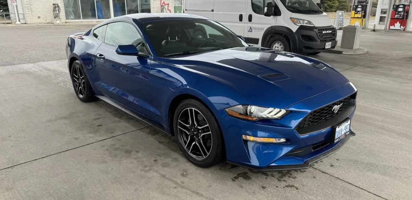 Ford Mustang photo 2